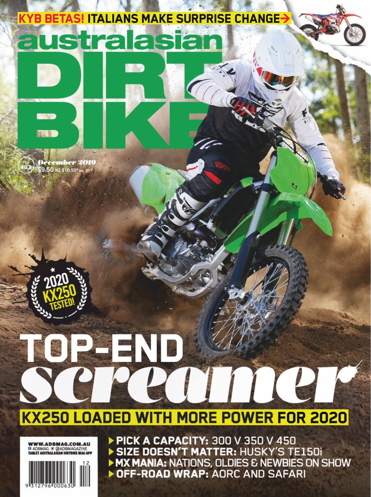 download the dirt pdf