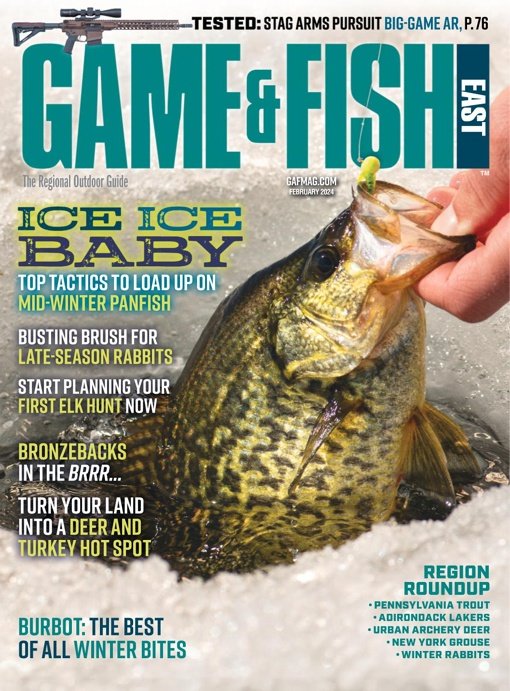 Game Fish East February 2024 PDF Download Free   It5eSs7kzzI 