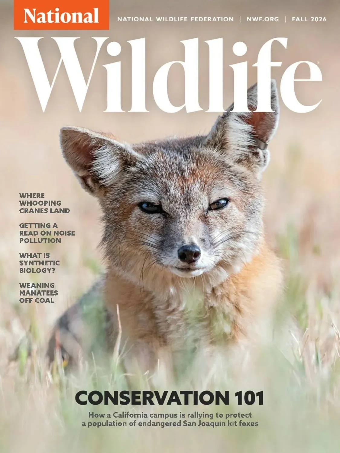 Java National Animal National Wildlife - Fall 2026 PDF download free
